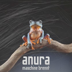 Anura