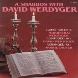 A Shabbos With David Werdyger