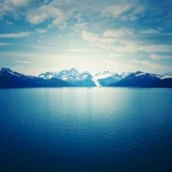 Fluorescent Dreamscape