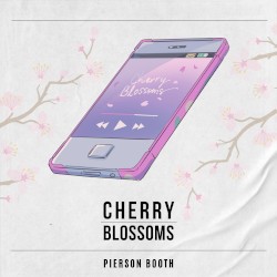 Cherry Blossoms
