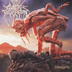 Terrasite