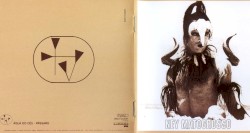 Água do céu – Pássaro