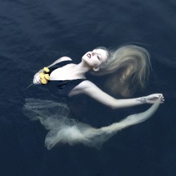 Silent Chamber, Noisy Heart