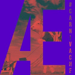 Les vaches carnivores