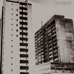 Synapse