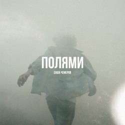 Полями