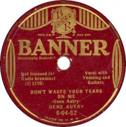 Nobody's Darling But Mine / Don't Waste Your Tears On Me