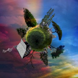 Morning in the Forest