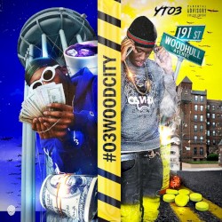 #O3WOODCITY