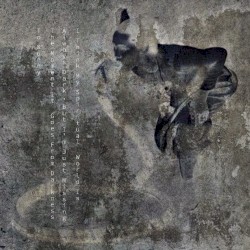 I Think My Spiritual World Is Always Dark, but I'm Just Missing the Moment It Goes From Darkness to Sunny