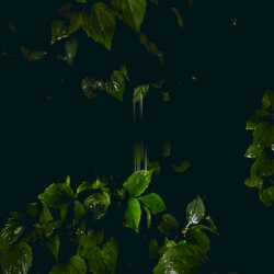 Music for Empty Flats