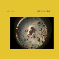 Metamorphose