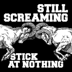 Stick At Nothing
