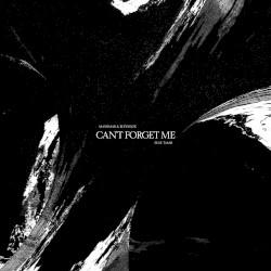 Can't Forget Me