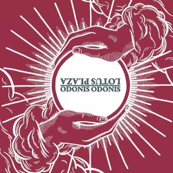 Lotus Plaza / Odonis Odonis