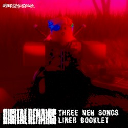 One Way Street: Digital Remains