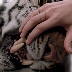 DO U LIKE NIGHT BUS?