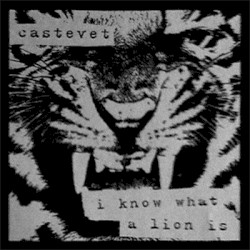 I Know What a Lion Is