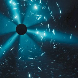 Midnight Zone (Original Soundtrack to the Film by Julian Charrière)