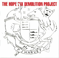 The Hope Six Demolition Project