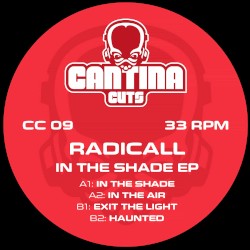 In The Shade EP