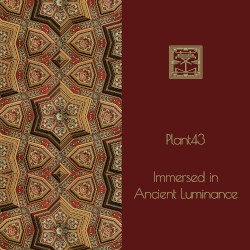 Immersed in Ancient Luminance