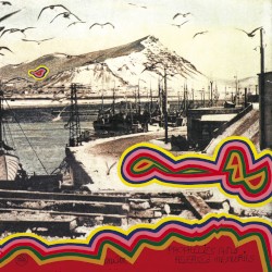 Prophecies and Reversed Memories