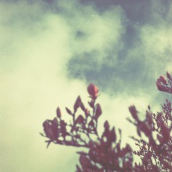 Someone to Call Your Name