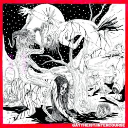 Gaytheist/Intercourse