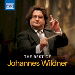 The Best of Johannes Wildner