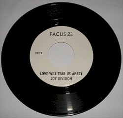 Love Will Tear Us Apart
