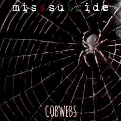 Cobwebs