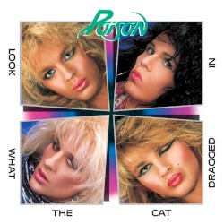 Look What the Cat Dragged In