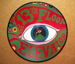 The Psychedelic Sounds of the 13th Floor Elevators