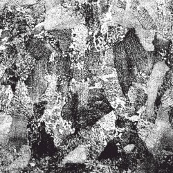 Auditory Trauma: Full of Hell Isolation Sessions