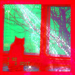 now you're in the stars