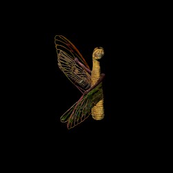 Saet El Hazz (The Luck Hour)