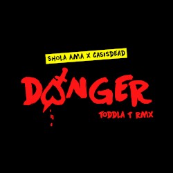 Shola Ama x CASISDEAD - DANGER (TODDLA T RMX)