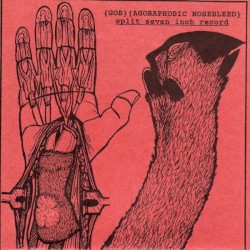 Split Seven Inch Record