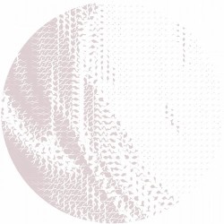 Bread Get Bun / King George