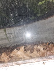 i cant sleep so ill make a shit EP (8/3/22)