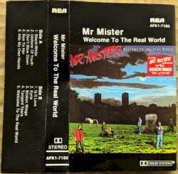 Welcome to the Real World