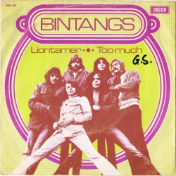 Liontamer / Too Much