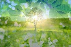 Please Allow Me to Calm Your Nerves