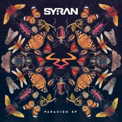 Paradigm EP