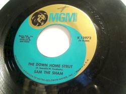 The Down Home Strut / I Couldn't Spell !!*@!