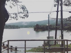 33lake Smoother