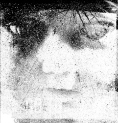 Rabbit at the Airport III