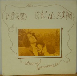 The Pied Pumkin String Ensemble