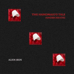 The Handmaid's Tale (Under His Eye)